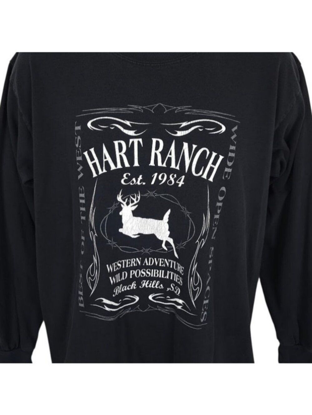 Vintage Hart Ranch T Shirt Mens Size Medium Y2K Black Hills South Dakota Travel